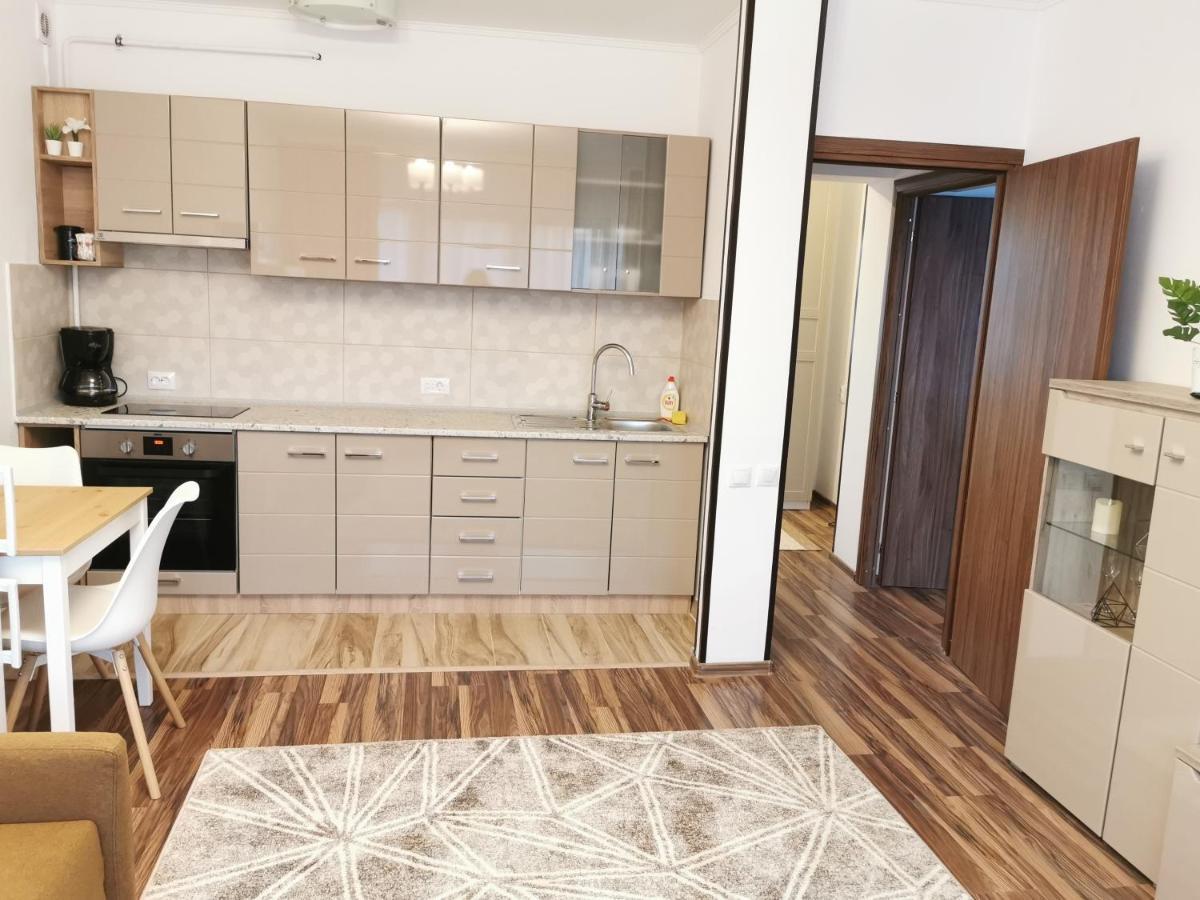 Charming apartment in villa Iasi Exteriör bild